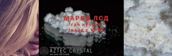 стаф Ельня