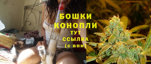 каннабис Беломорск