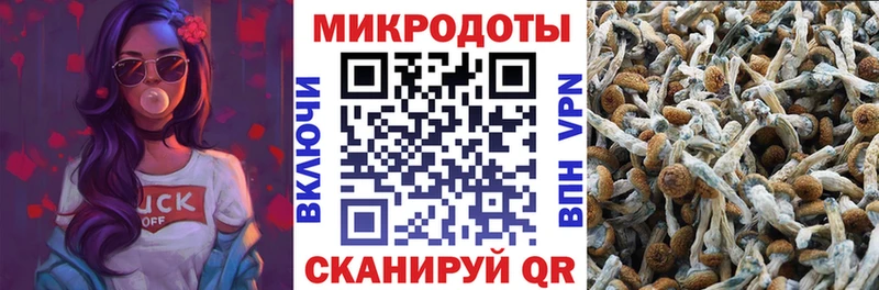 mega tor  Мезень  Псилоцибиновые грибы мухоморы 